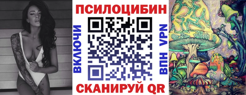 цена   Берёзовский  Псилоцибиновые грибы GOLDEN TEACHER 